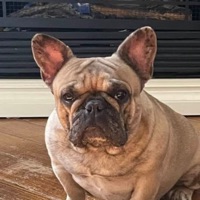 User profile image
