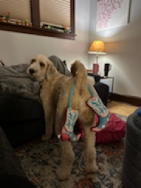 Hannah