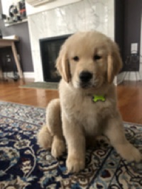 Tucker McFadden
