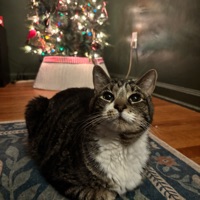 luis
