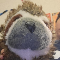 User profile image