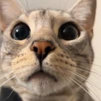 Mitch