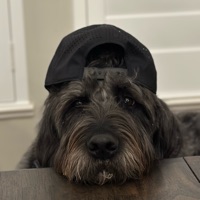 User profile image