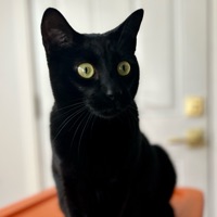 User profile