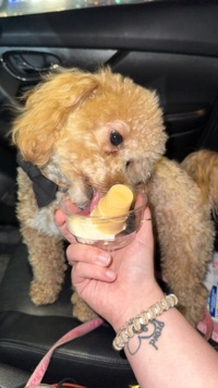 Bailee