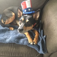 User profile image