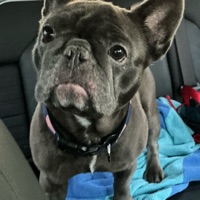 User profile image