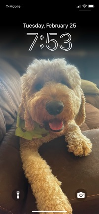 Max