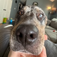 User profile image