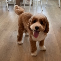 User profile image