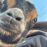 User profile image