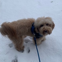 User profile image