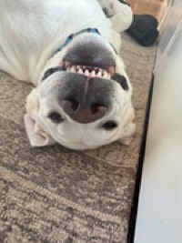 Carter Has The Goods