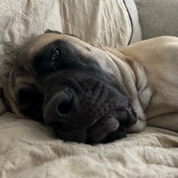 User profile image