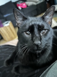 User profile image