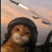 User profile image