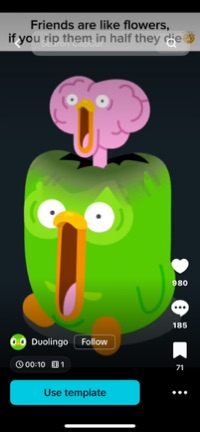 User profile