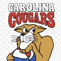 Cougar Fan