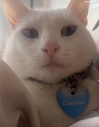 User profile image