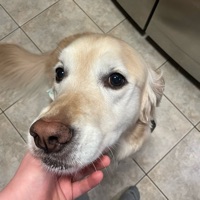 Colin