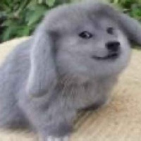Tom