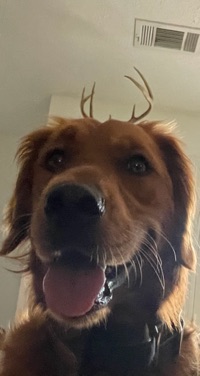 Sawyer