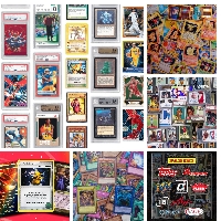 Tim Cards
