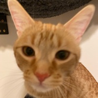 User profile
