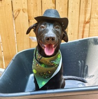 User profile image