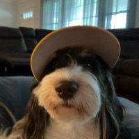 Baseball Theo