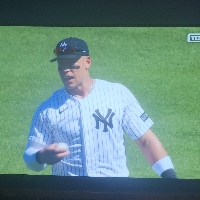 Aaron Judge