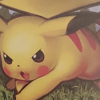 User profile image