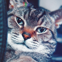 User profile image