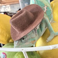User profile image