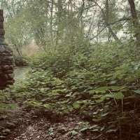 Spenner