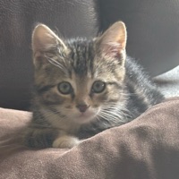 User profile image