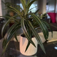 User profile