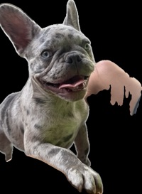 Coleton Cox