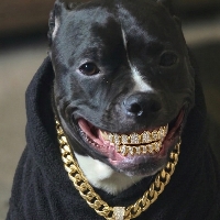 User profile image