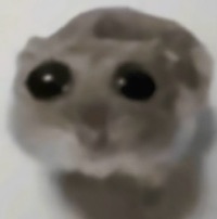 Evan