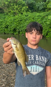 Braxton