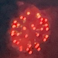 1234567891011