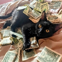 Emmy Pituch