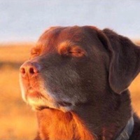 User profile image