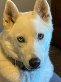 Nick