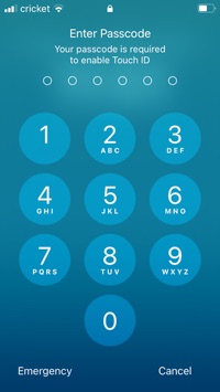 User profile
