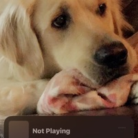 User profile image