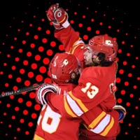 Hockey Card Hero