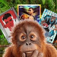 Orangutan Trading Company