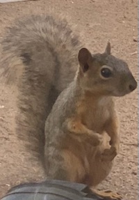 User profile image